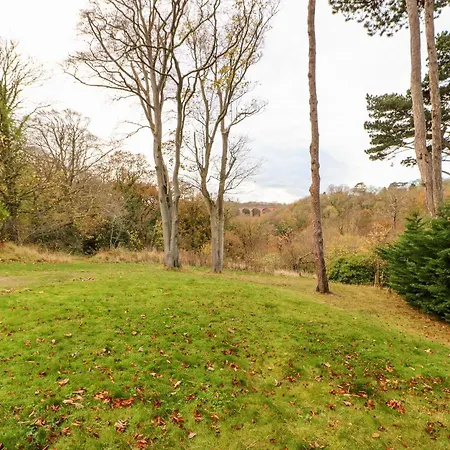 Hébergement de vacances Daffodil