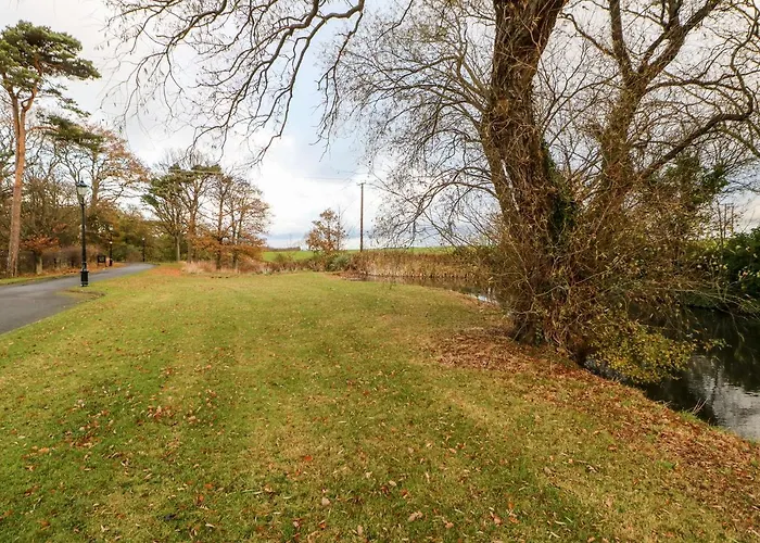 Daffodil Hébergement de vacances *