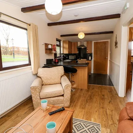 Daffodil * Saltburn-by-the-Sea