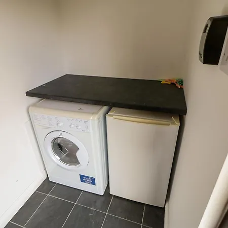 Daffodil Saltburn-by-the-Sea