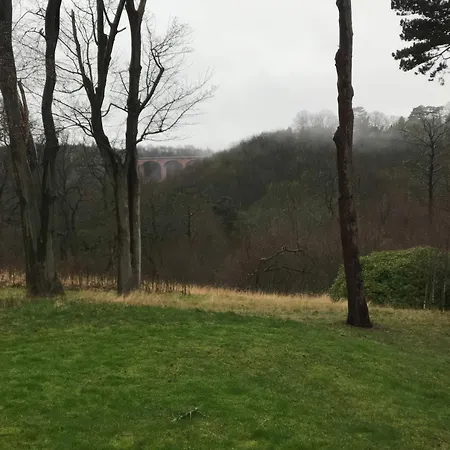 Hébergement de vacances Daffodil *