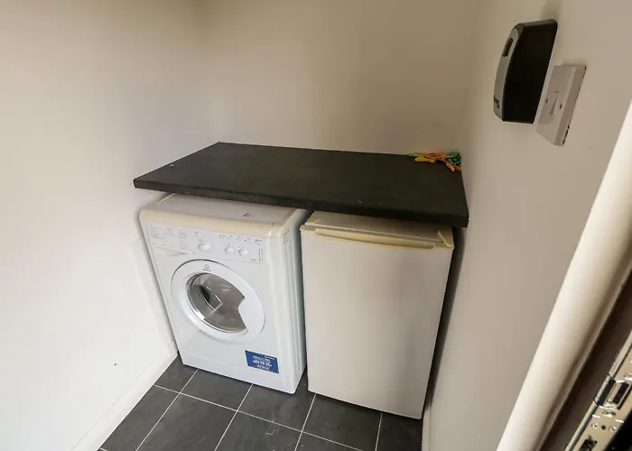 Daffodil Saltburn-by-the-Sea